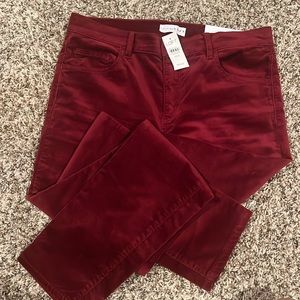 Women's LOFT burgundy corduroy pants.